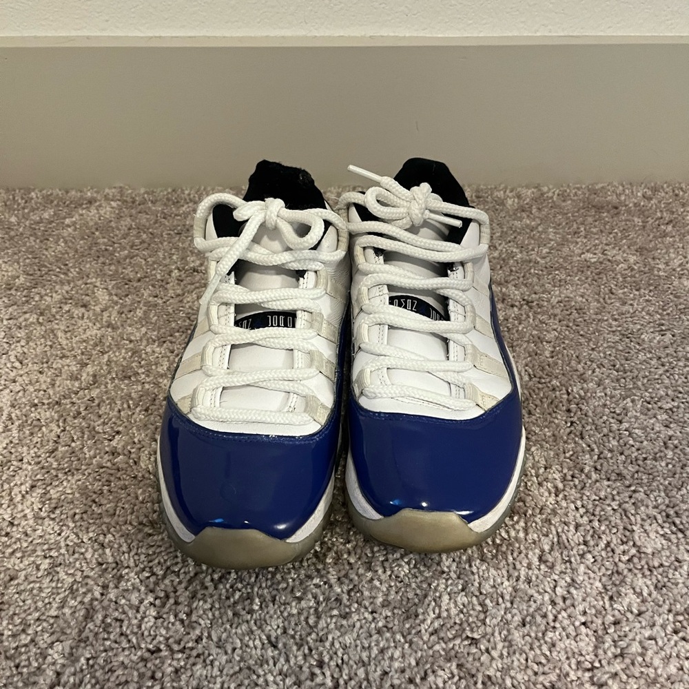 Air Jordan 11s
